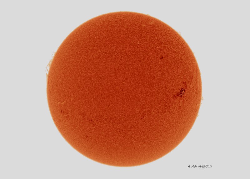 14 Février 2016 : Le Soleil en Hydrogène Alpha