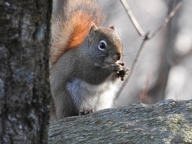 Parc des chures de Batiscan - Par Aline
